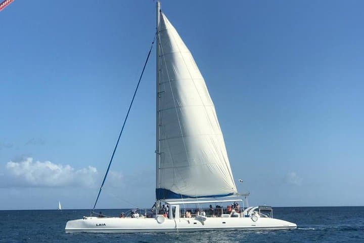 Full-Day Saona Island Cruise: Natural Pool, Palm Beaches & Lunch from Punta Cana photo 2