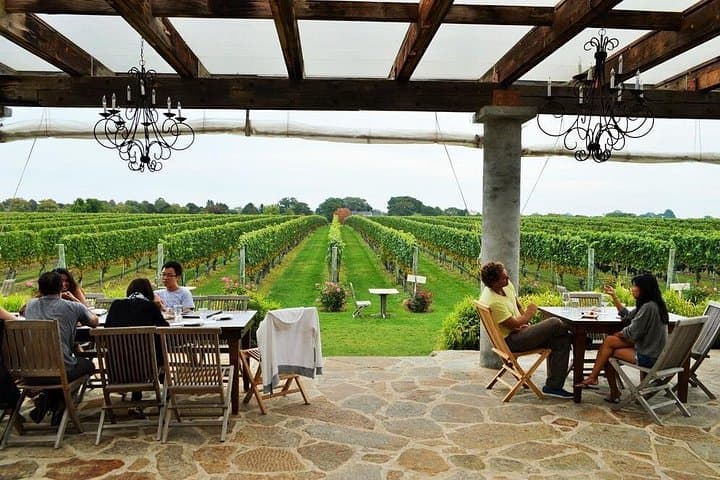 Long Island Winery Tour: North Fork Tastings with Private Pickup & Live Music photo 4