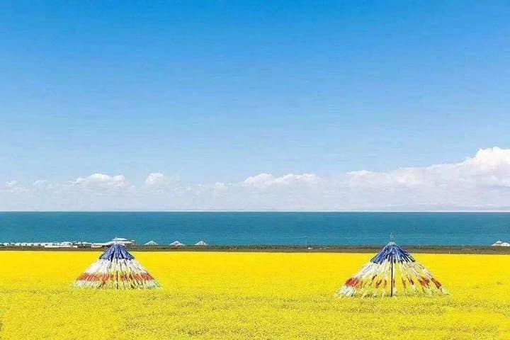 Day Trip from Xining to Qinghai Lake — Private Tour with Flexible Departure photo 2