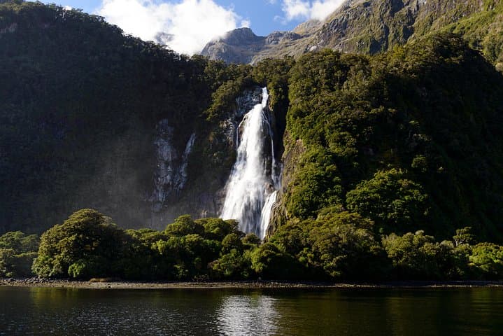 Milford Sound Day Tour and Scenic Cruise from Queenstown — Full-Day Guide photo 5