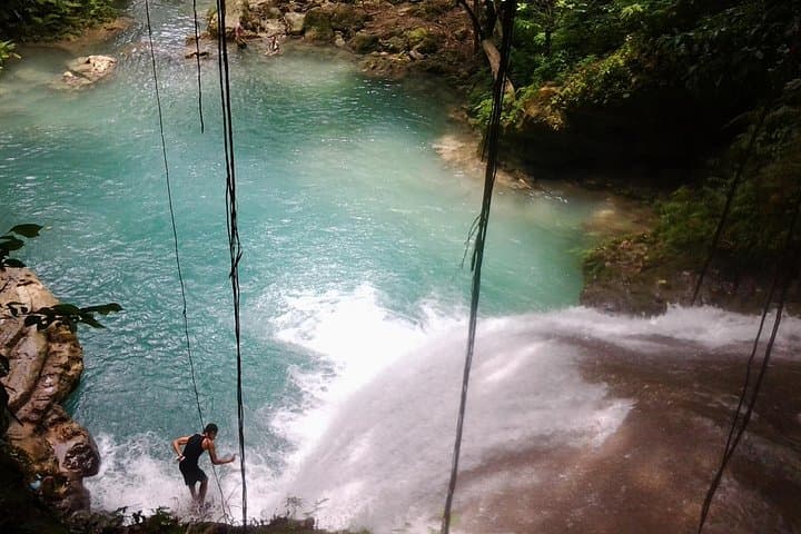 Jump, Swim, Swing