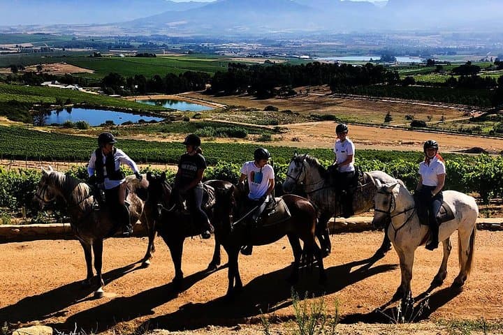 2-Hour Horse Trail on Paarl Mountain — Wine Valley Adventures in Stellenbosch Winelands photo 2