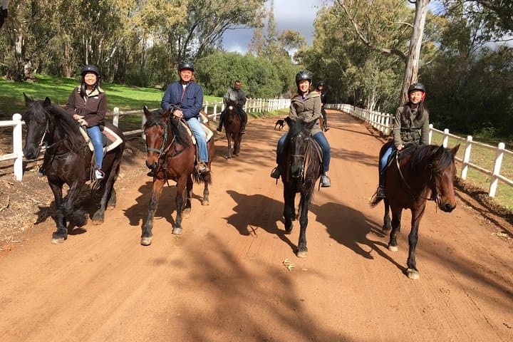 1-Hour Horse Trail at Vrede en Lust — Simonsberg Wine Estate Ride photo 2