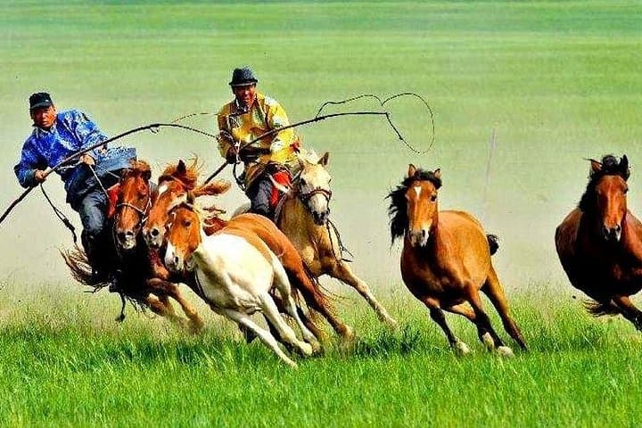 Hulun Buir Grasslands & Wetlands: 5-Day Private Tour from Hailar