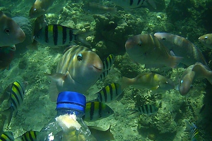 Snorkel Gili Nanggu: Coral Gardens, White Sand & Private Outrigger Day Trip photo 1