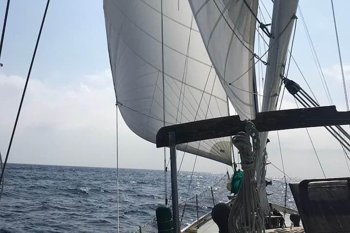 Sail to Tayrona: Bahia Concha Day Trip from Santa Marta on the Sonata photo 5