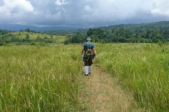 Haew Suwat Waterfall & KM 33 Jungle Hike — Full-Day Khao Yai Adventure from Bangkok photo 6