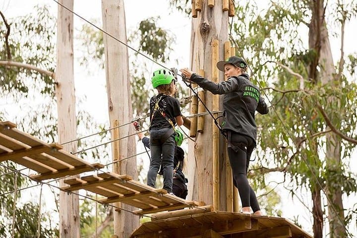 Great Ocean Road Surf Coast & Livewire Treetop Zipline Day Tour from Melbourne photo 2