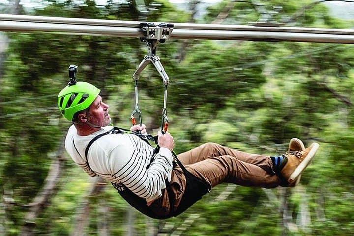 Great Ocean Road Surf Coast & Livewire Treetop Zipline Day Tour from Melbourne