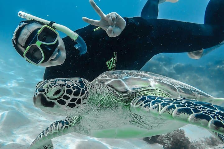 Green Island Day Trip from Cairns — Snorkel the Great Barrier Reef