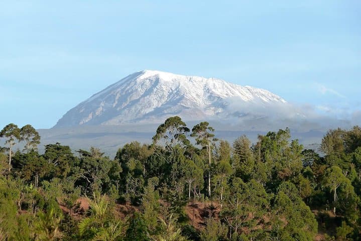 8-Day Lemosho Route Kilimanjaro Climb: Route Guide, Summit Tips & Itinerary photo 3