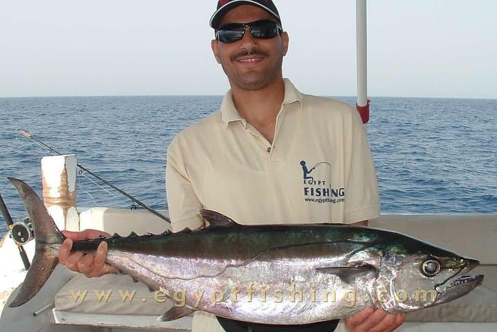 Red Sea Private Fishing Charter from Hurghada — Full-Day Boat & Snorkel photo 3