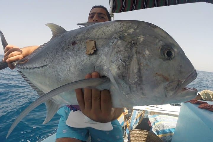 Red Sea Private Fishing Charter from Hurghada — Full-Day Boat & Snorkel photo 5