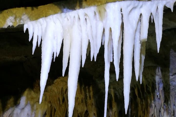 Exploring Wulong Karst and the Three Natural Bridges (Chongqing) photo 4
