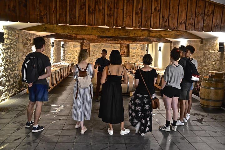Saint-Émilion E-Bike Tour: Half-Day Vineyard Ride & Wine Tasting photo 2