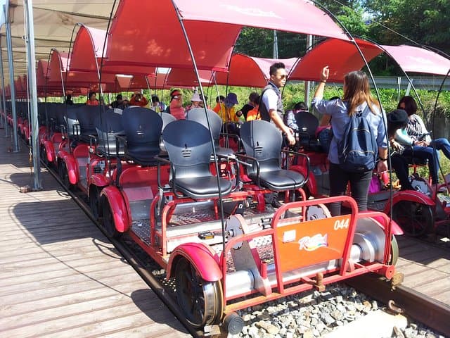 Nami Island & Rail Bike Day Tour from Seoul — Petite France or Garden of Morning Calm photo 3