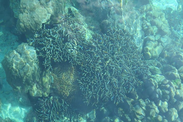 Island Hopping from Koh Lanta: Kradan, Ngai & the Emerald Cave Day Trip photo 2