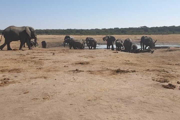 Chobe River Safari: Day Trip from Victoria Falls to Botswana’s Wildlife Corridor photo 4