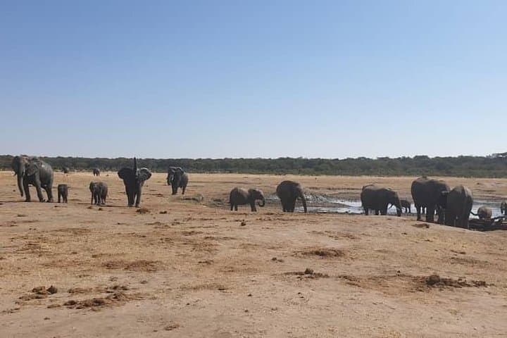 Chobe River Safari: Day Trip from Victoria Falls to Botswana’s Wildlife Corridor photo 5
