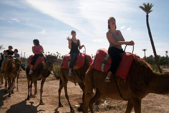 Agadir Quad Biking and Camel Ride with Berber Tea at Crocoparc photo 5