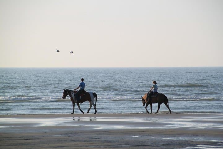 Sunset Horseback Ride on Rhodes Beach — 1-Hour Coastal Trail photo 6