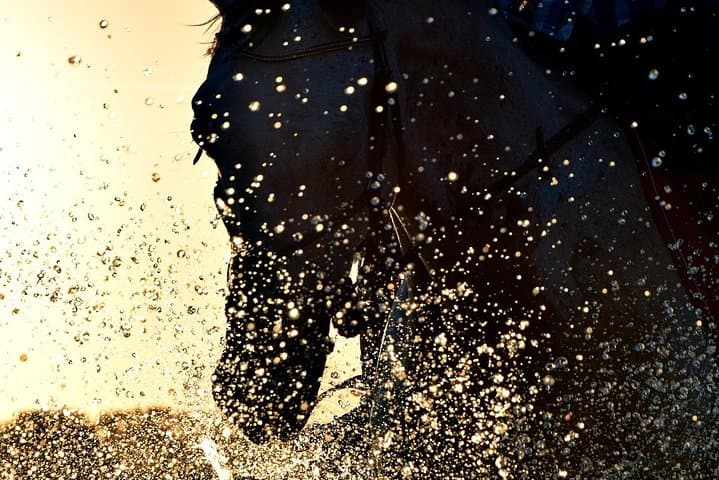 Sunset Horseback Ride on Rhodes Beach — 1-Hour Coastal Trail photo 5