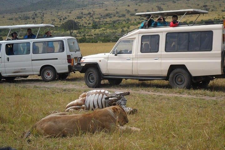 Explore Nairobi National Park and Cultural Highlights: Wildlife, Giraffes, and Kenyan Traditions in a Day Tour