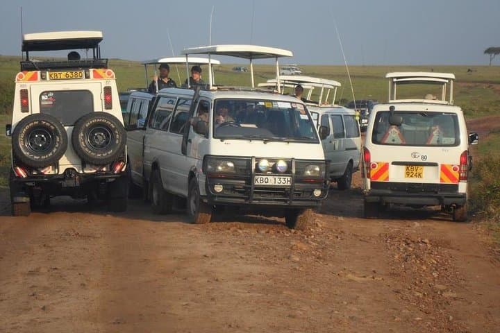 Day Safari to Lake Nakuru National Park and Naivasha Boat Ride from Nairobi photo 6