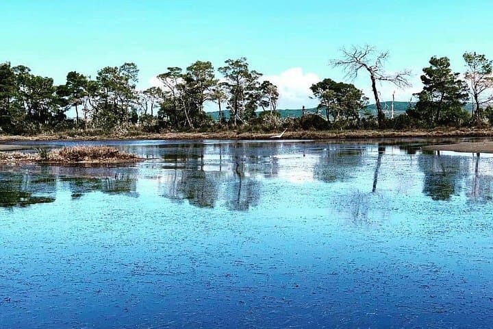 Karavasta Lagoon Boat Trip and Apollonia Archaeological Park Day Tour photo 4