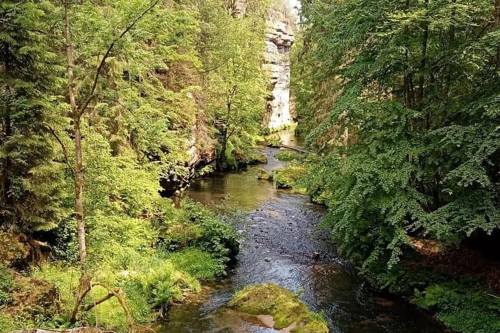 Bohemian and Saxon Switzerland Day Trip from Dresden — Bastei, Pravčická Arch & Wild Gorge photo 3