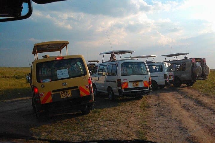 Afternoon Game Drive in Nairobi National Park + Carnivore Dinner Experience photo 4