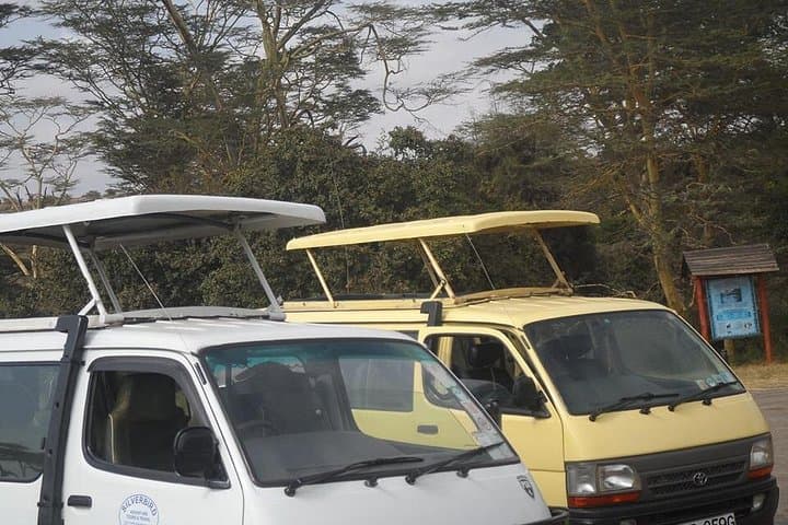 Nairobi Wildlife Circuit: Mamba Village, Elephant Sanctuary, Giraffe Centre & National Park photo 4