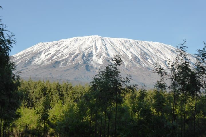 8-Day Lemosho Route: Mt. Kilimanjaro Guided Camping Climb to Uhuru Peak photo 6