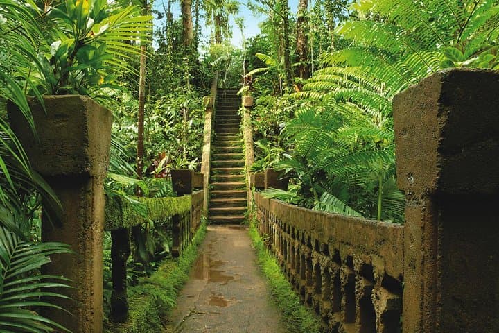 Atherton Tablelands Day Trip from Cairns — Paronella Park, Lake Barrine & Millaa Millaa Falls photo 5