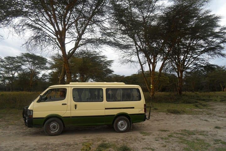 Explore Nairobi National Park and Cultural Highlights: Wildlife, Giraffes, and Kenyan Traditions in a Day Tour photo 4