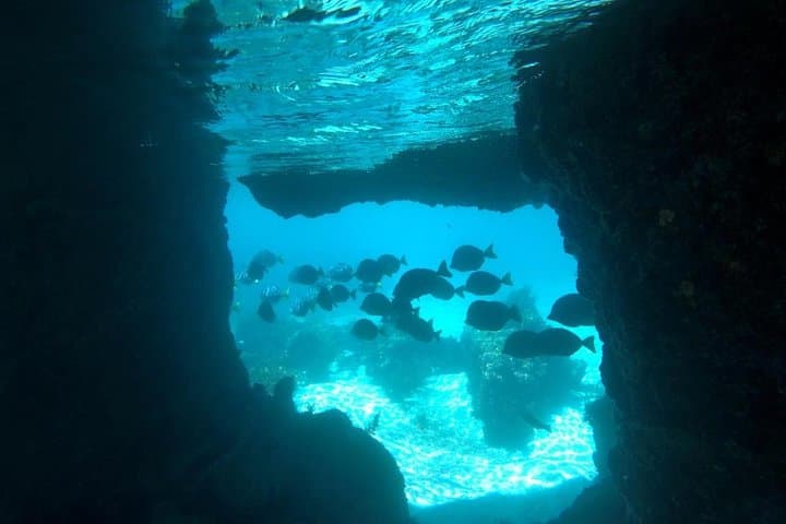 5-Day Galapagos Diving & Hiking Adventure from Puerto Ayora photo 5