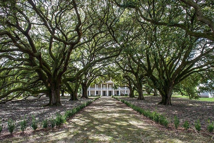 Whitney Plantation Tour: New Orleans Day Trip to an Intimate Slavery Museum