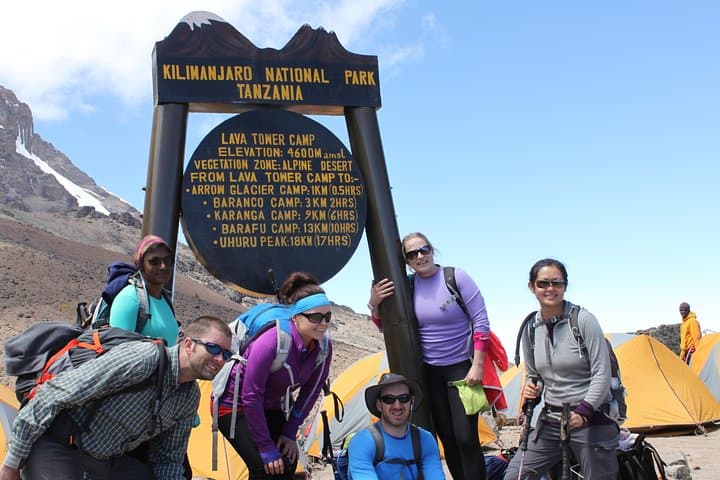 Kilimanjaro Lemosho Route 7-Day Trek — Quiet Route to Uhuru Peak