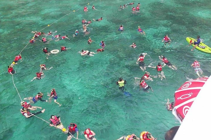 Phi Phi & Khai Island Speed-Boat Day Trip from Phuket photo 4