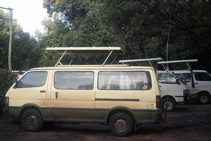 Nairobi National Park Game Drive, Giraffe Centre & Carnivore Lunch — Day Tour from Nairobi photo 2