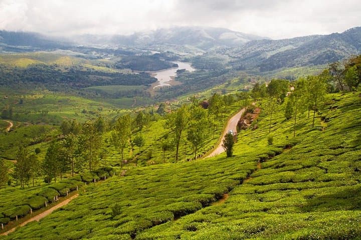 9-Day Private Exotic Kerala Tour: Houseboats, Tea Gardens & Backwaters photo 2