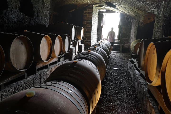 Orvieto Evening e-Bike Tour with Dinner & Wine Tasting photo 2
