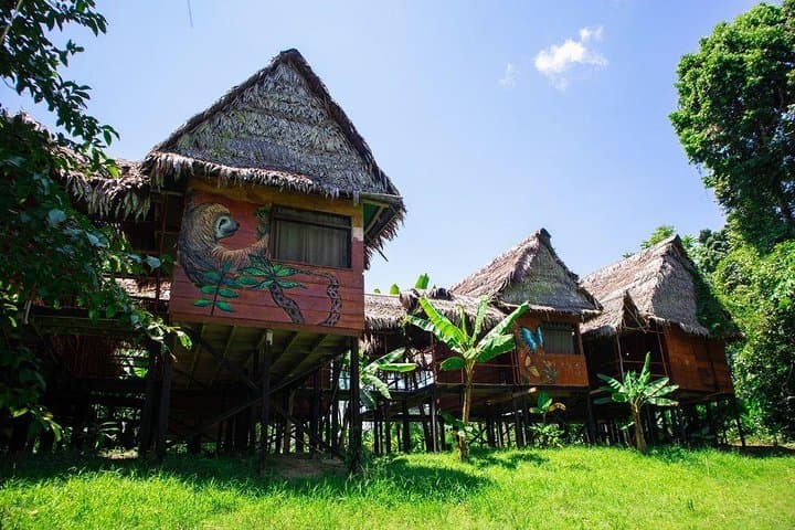 2-Day Peruvian Amazon Tour from Iquitos — Lodge, Canoes & Indigenous Visit photo 6