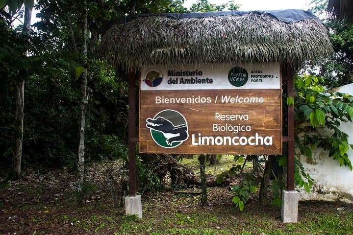 Yasuni Amazon: 5-Day Wildlife & Shuar Cultural Immersion photo 5