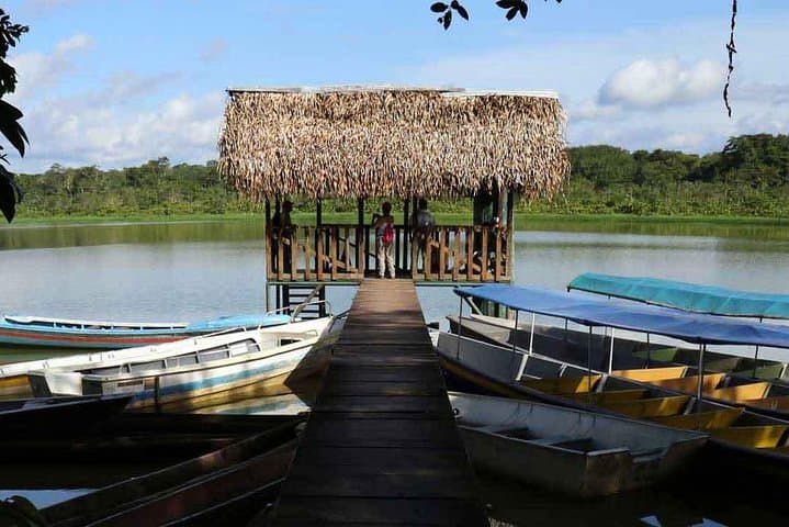 Amazon Yasuni 2-Day: Shuar Culture, Limoncocha & Napo River Wildlife photo 3