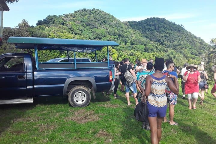 Safari Extravaganza: Rainforest Drive, Bayfords View & Caribbean Beach Dip in St. Kitts