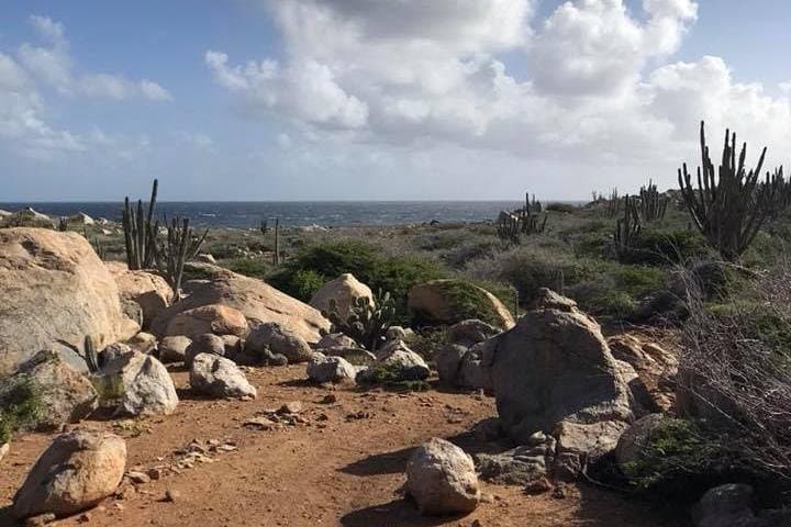 Sunset Horseback Ride Through Aruba's Cunucu Countryside and North Coast photo 2