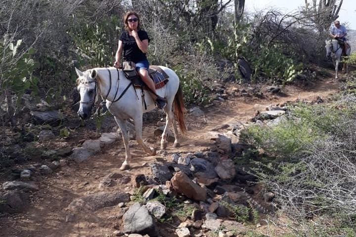 Sunset Horseback Ride Through Aruba's Cunucu Countryside and North Coast photo 5