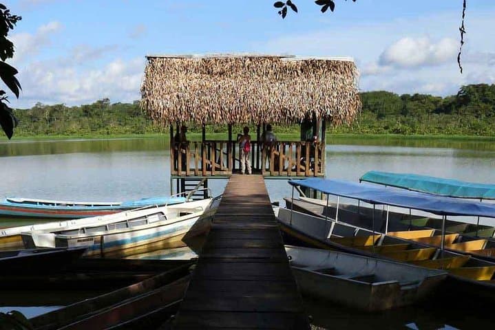 Yasuni 3-Day Amazon Immersion: Wildlife, Shuar Culture & Rainforest Life