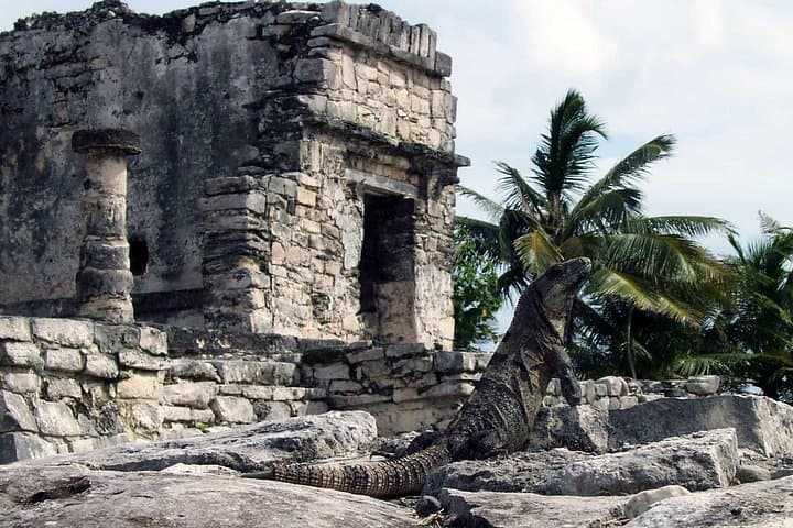 Tulum Day Trip: Ruins, Sacred Cenote Swim and Playa del Carmen Stroll photo 1